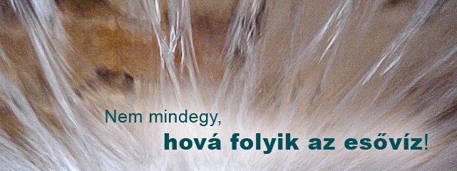 Esővíz elvezetése