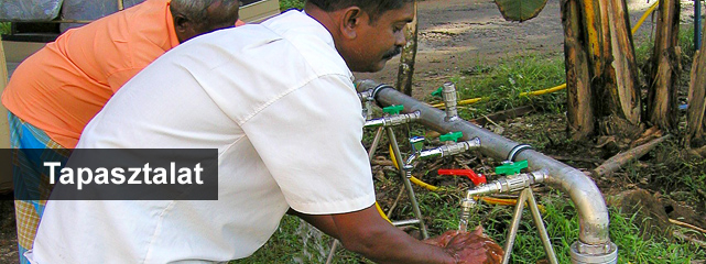 Tapasztalat