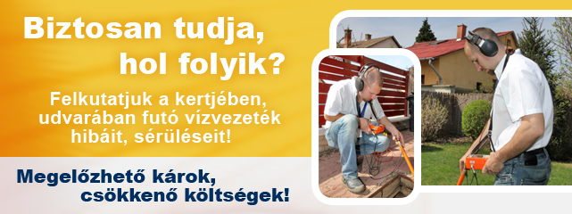 Vízveszteség-felkutatás