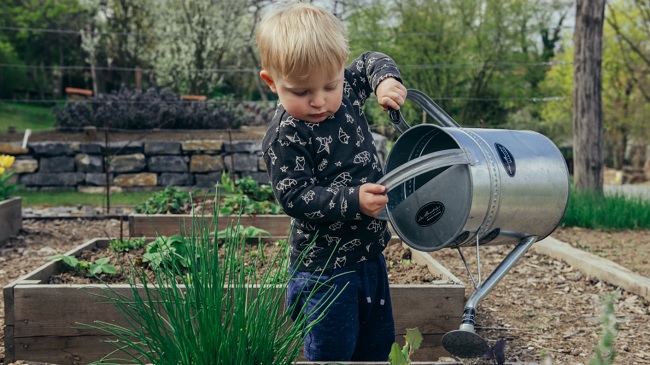 A képen egy kisfiú látható, miközben egy locsolókanna segítségével növényeket locsol egy kertben.