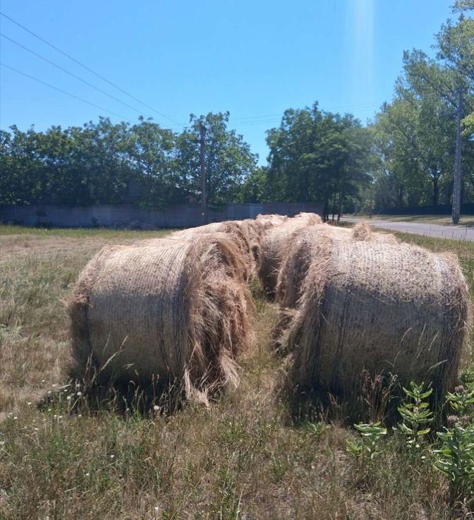 A képen néhány szénabála látható a kaszálón, mögötte egy műúttal.