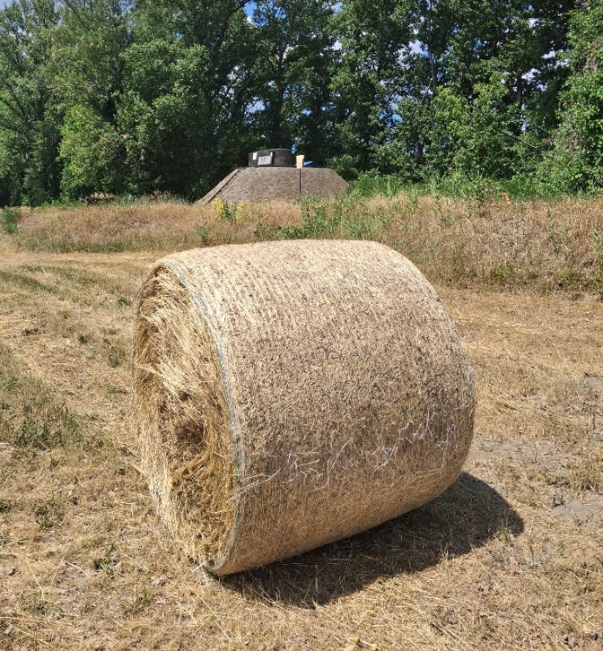 A képen egy szénabála, mögötte a fák alatt a Fővárosi Vízművek egyik víztermelő kútja látható.