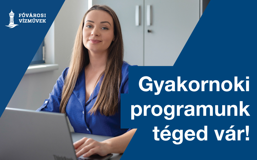 A k&eacute;p illusztr&aacute;ci&oacute;, amelyen a Főv&aacute;rosi V&iacute;zművek gyakornoki programj&aacute;t n&eacute;pszerűs&iacute;tő plak&aacute;t l&aacute;that&oacute;.