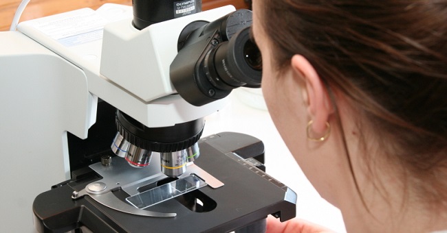 A képen egy mikroszkópot használó nő látható.